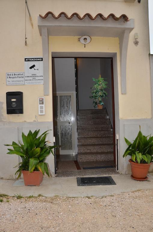 לינה וארוחת בוקר אורוסיי Domo - Guest-House Il Nespolo Fiorito מראה חיצוני תמונה